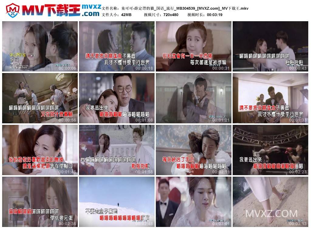 童可可-薛定谔的猫_国语_流行_MB304539